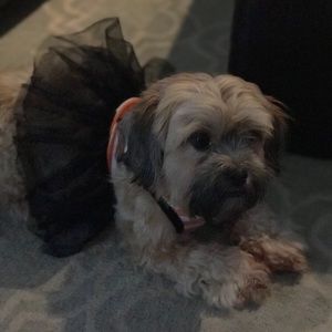 Meet your Posher, Rita